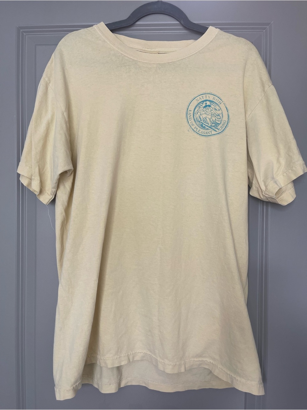 Comfort Colors Natty Boh Graphic T-Shirt